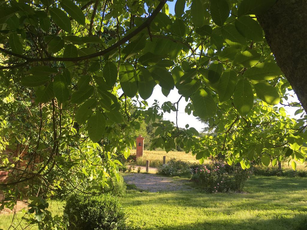 Capannacce Organic And Horse Farm Rapolano Terme Exterior foto
