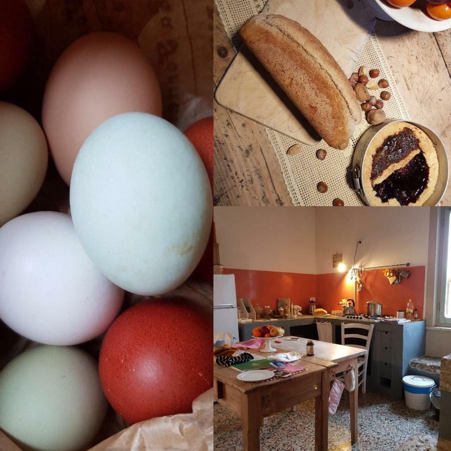 Capannacce Organic And Horse Farm Rapolano Terme Exterior foto
