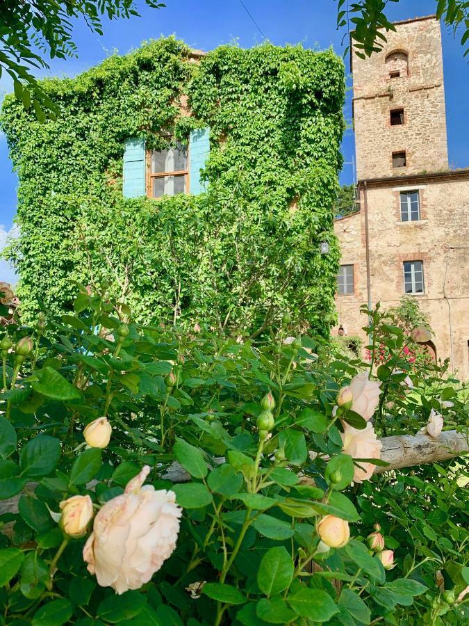 Capannacce Organic And Horse Farm Rapolano Terme Quarto foto